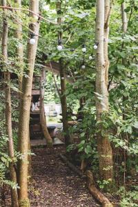 Φωτογραφία από το άλμπουμ του Thatched Roundhouse in Somerset Woodland σε Martock