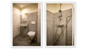 a bathroom with a shower with a toilet and a sink at Nieuwlanderweg 63 in De Waal