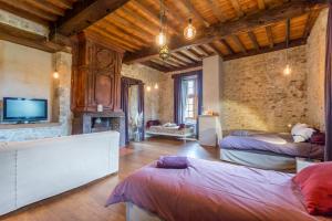 a large room with two beds and a tv at Les Fous du Village in Saint-Esteben