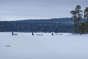 a group of people and dogs in the snow at Villa Sarmi - a true off-the-grid hut in Inari