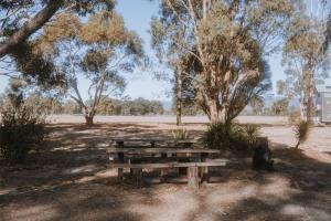 a picnic table and bench in a park with trees at Tiny Homes Escape at Grampians Edge by Tiny Away in Dadswells Bridge