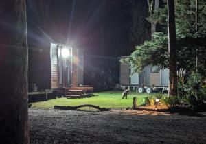 a house with a dog in the yard at night at Tiny Homes Escape at Grampians Edge by Tiny Away in Dadswells Bridge +143 photos