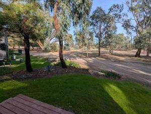 a park with trees and grass and a dirt road at Tiny Homes Escape at Grampians Edge by Tiny Away in Dadswells Bridge