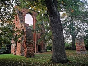 an old brick building with a tree in the yard at Blaumuschel Sprotte 15 in Lubmin
