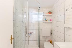 een badkamer met douche en toilet bij Apartment Siranovic in Batalaži +11 foto's