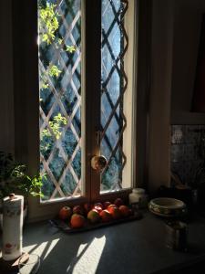 a window with a bunch of fruit in front of it at Calicanto - Dimora nel parco in Faenza