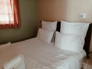 莫里维尔The Big Five Bed and breakfast的相册照片