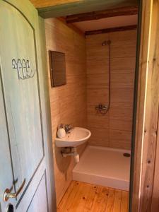 a bathroom with a sink and a shower at Denderi in Vaidava