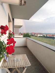 Fotografie z fotogalerie ubytování Apartament Wonderful View v destinaci Kluž