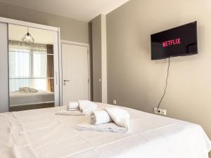 プロブディフにあるModern 1BR Apartment with Free Street Parking and free Gym Passの大きな白いベッド、枕が2つ、壁にテレビがある