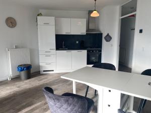 Η κουζίνα ή μικρή κουζίνα στο Residenz Polderblick Burgerbrug
