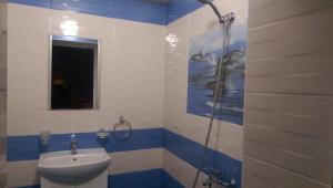 a bathroom with a shower with a sink and a toilet at Стаи за гости Деметра in Sofia