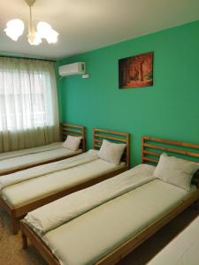 two beds in a room with green walls at Стаи за гости Деметра in Sofia