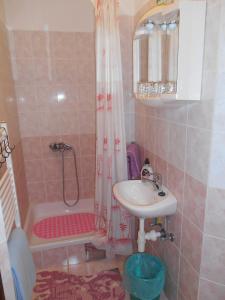 a small bathroom with a sink and a shower at House Mihaela&nina in Seliste Dreznicko