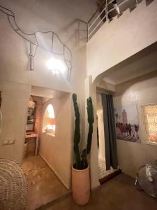 Fotografie z fotogalerie ubytování Riad Dar Vevé - Design, style & relax in Dar el Bacha v Marrákéši
