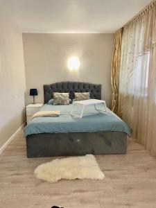 ヴァルミエラにあるCentral Family apartmentのベッドルーム1室(大型ベッド1台、床に敷物付)