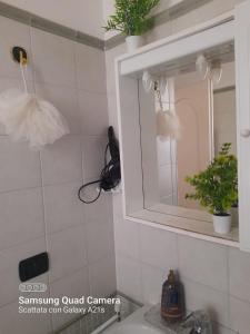 un bagno con lavandino, specchio e piante di DOMUS Pescara a Pescara