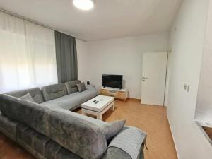 Una sala de estar con un sofá y un televisor. en NatureHouse Permet, en Përmet