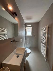 a bathroom with a sink and a toilet at Ferienwohnungen Zwick Spinei in Burgusio