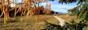 Paisaje cerca de este chalet de montaña