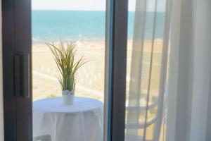 a table with a plant on it next to a window at Grand Meeting Hotel in Rimini