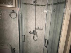 a shower in a bathroom with a toilet at Emerald Studio in Límni +9 photos