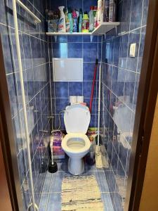 baño con aseo en una pared de azulejos azules en Útulný byt blízko centra, en Trenčín