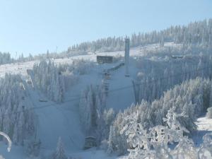 Holiday Home near Klínovec Ski Lift v zime