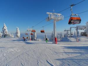 Holiday Home near Klínovec Ski Lift v zime
