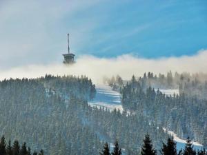 Holiday Home near Klínovec Ski Lift v zime