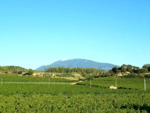 Naturlandskabet i nærheden af feriehuset