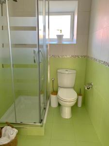 a bathroom with a toilet and a glass shower at Brisa Azul in Moaña +5 photos