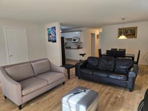 Χώρος καθιστικού στο D's Place Hull Gatineau-Ottawa with Free Parking