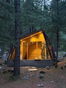 a wooden cabin in the woods with a tree at The Woodpecker - Glamps & Resorts in Tāl +17 photos