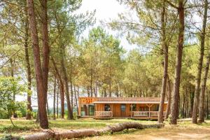 una cabaña en el bosque con árboles en L'Escale du Dernier Pin, en Escalans 14 fotos más