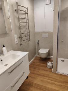 a bathroom with a sink and a toilet and a shower at Stay Rokiškis apartments in Rokiškis