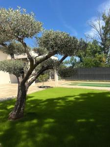 Κήπος έξω από το Villa avec piscine - L'Oliviera