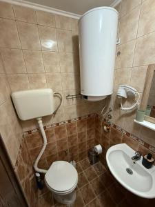 a bathroom with a toilet and a sink at Apartman Stefan Zlatibor in Zlatibor