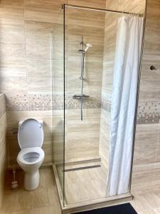 Kúpeľňa v ubytovaní Balatonföldvár Centrum Apartmanok