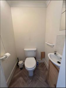 a bathroom with a toilet and a sink at Edinburgh Central Cozy Flat in Edinburgh