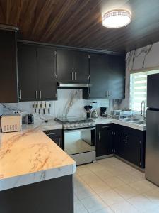 a kitchen with black cabinets and stainless steel appliances at Estancia Santa Cruz in Allende +15 photos