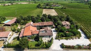 Vista aérea de una casa en un viñedo en Borgo San Donino, en Desenzano del Garda
