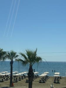 a beach with chairs and palm trees and the ocean at Tuck Inn in Larnaca