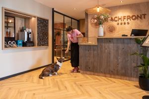 Domácí mazlíčci ubytovaní s hosty v ubytování Beachfront Boutiquehotel
