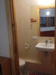 a bathroom with a sink and a toilet and a mirror at Apartments Melnalkšņi in Saulkrasti +46 photos