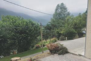 a view of a driveway with trees and a mountain at Maison de Martine & Christian in Eaux-Bonnes