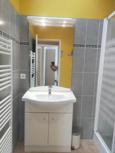 a bathroom with a white sink and a mirror at Maison de Martine & Christian in Eaux-Bonnes