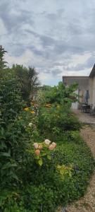 a garden with lots of flowers and plants at Villa Margo in Cognac