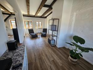 a large living room with a plant in the middle at Über dem Kattsund in Eckernförde