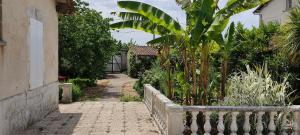 a garden with a fence and trees and plants at Villa Margo in Cognac +7 photos
